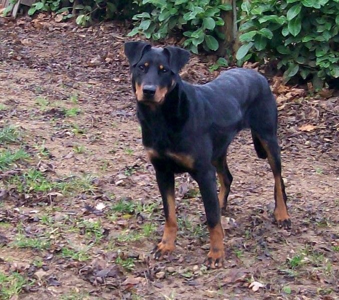 I'juanita (nita) de vag-ner's mémory