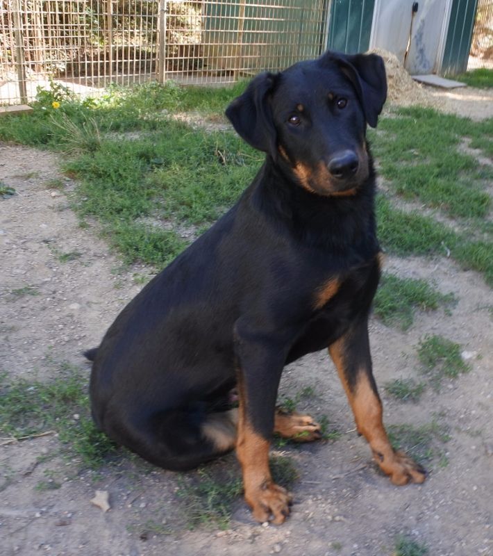 Publication : de vag-ner's mémory Auteur : F.peyrouse