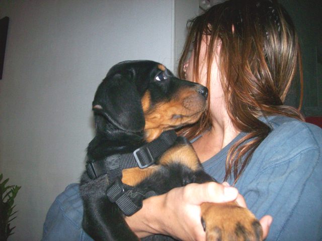 Fuertès (brevet ring) de vag-ner's mémory