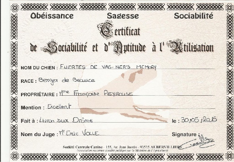 Fuertès (brevet ring) de vag-ner's mémory