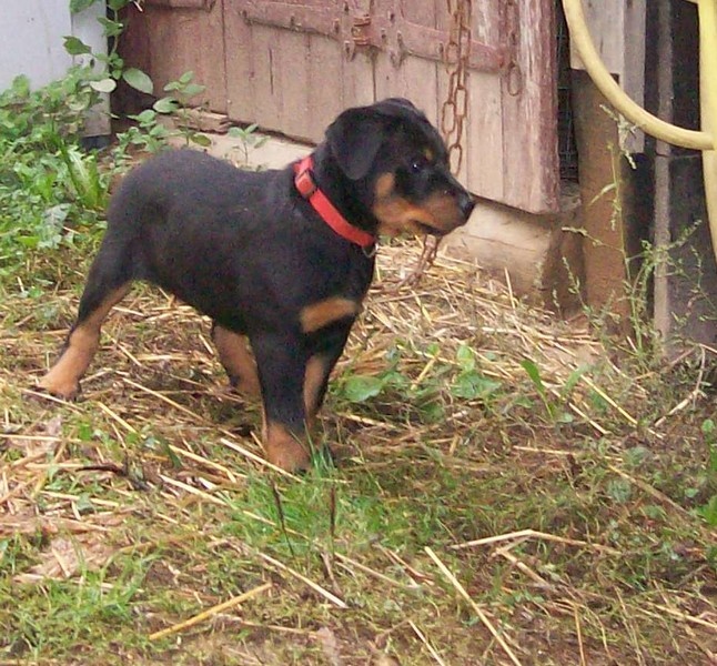 I'juanita (nita) de vag-ner's mémory