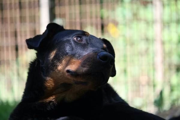 I'juanita (nita) de vag-ner's mémory