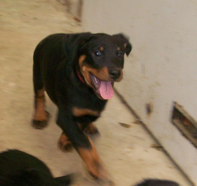 I'juanita (nita) de vag-ner's mémory