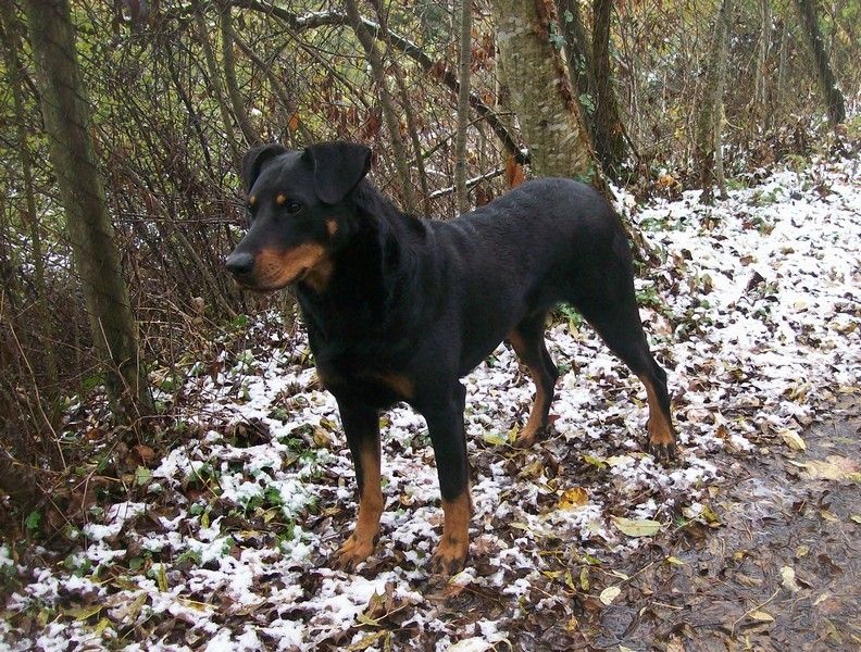 I'juanita (nita) de vag-ner's mémory