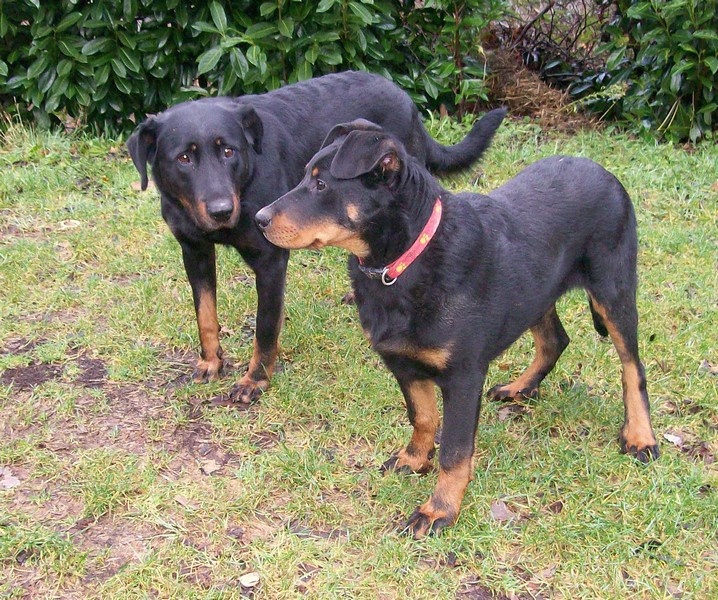 I'juanita (nita) de vag-ner's mémory