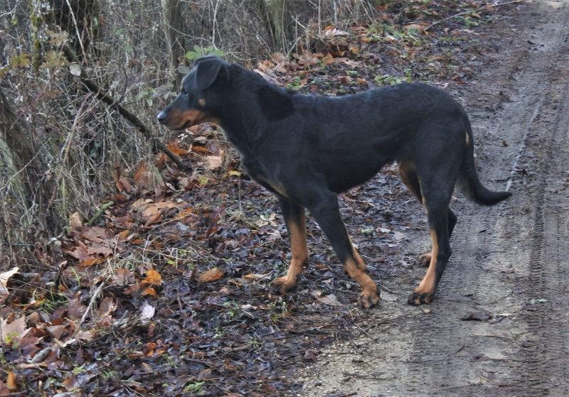 I'juanita (nita) de vag-ner's mémory