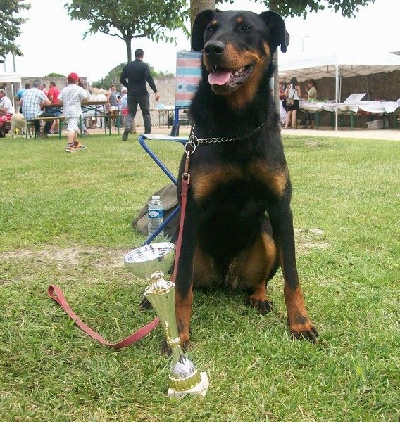 I'juanita (nita) de vag-ner's mémory