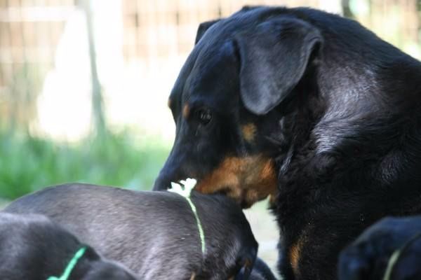 I'juanita (nita) de vag-ner's mémory