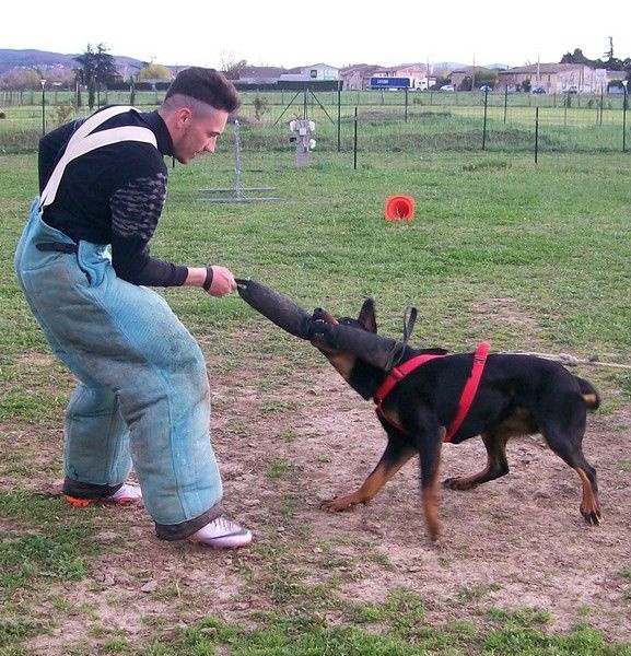 I'juanita (nita) de vag-ner's mémory