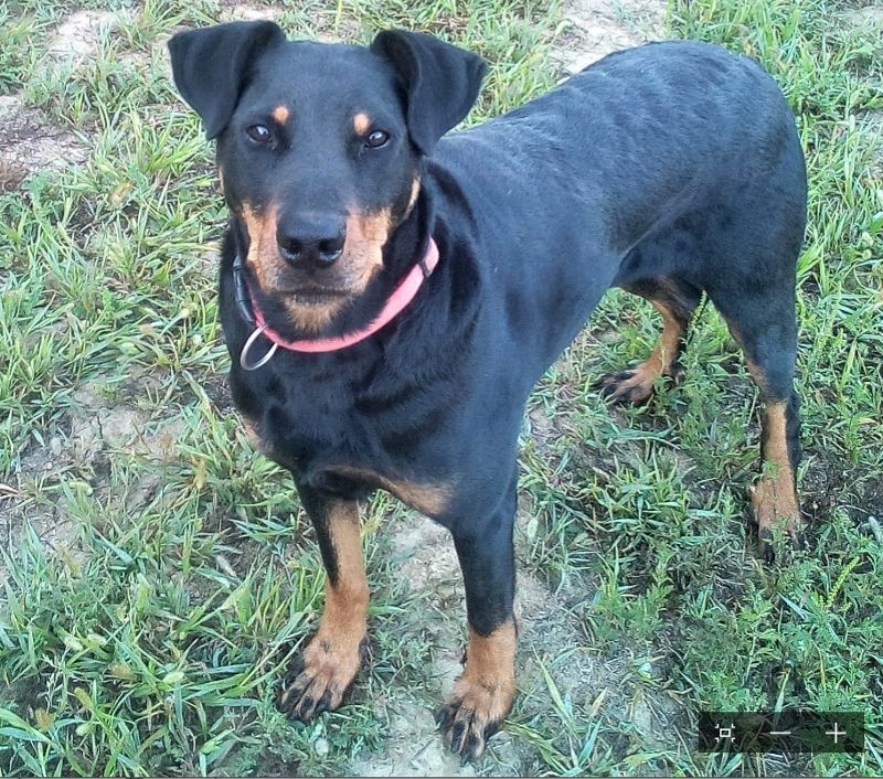 I'juanita (nita) de vag-ner's mémory