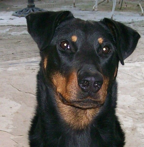 I'juanita (nita) de vag-ner's mémory