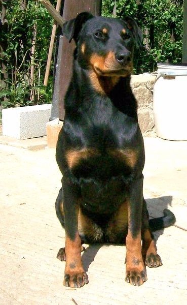 I'juanita (nita) de vag-ner's mémory