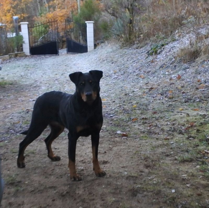 I'juanita (nita) de vag-ner's mémory