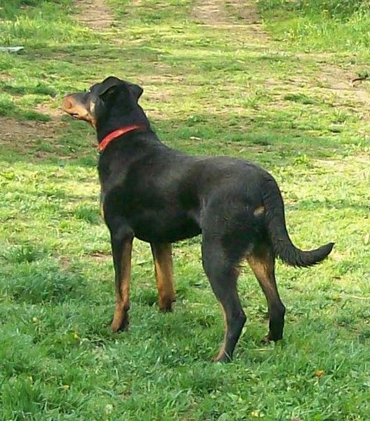 I'juanita (nita) de vag-ner's mémory