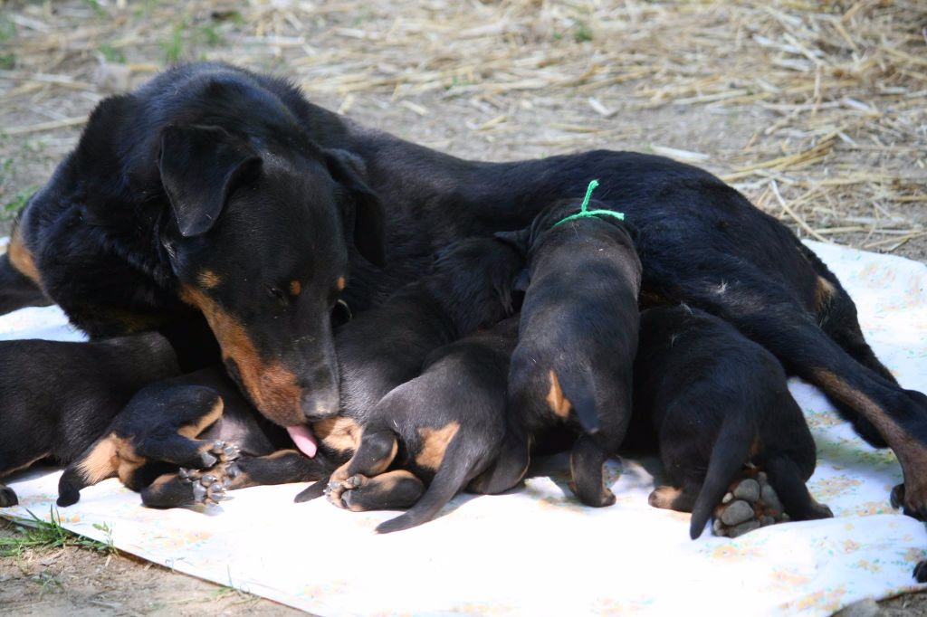 I'juanita (nita) de vag-ner's mémory