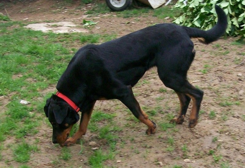 I'juanita (nita) de vag-ner's mémory