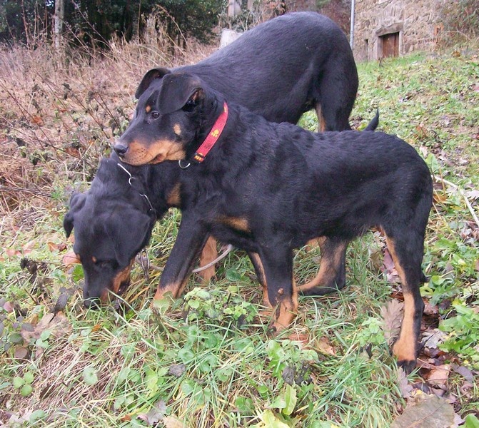 I'juanita (nita) de vag-ner's mémory