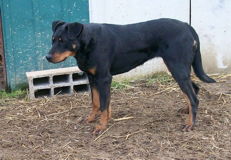 I'juanita (nita) de vag-ner's mémory