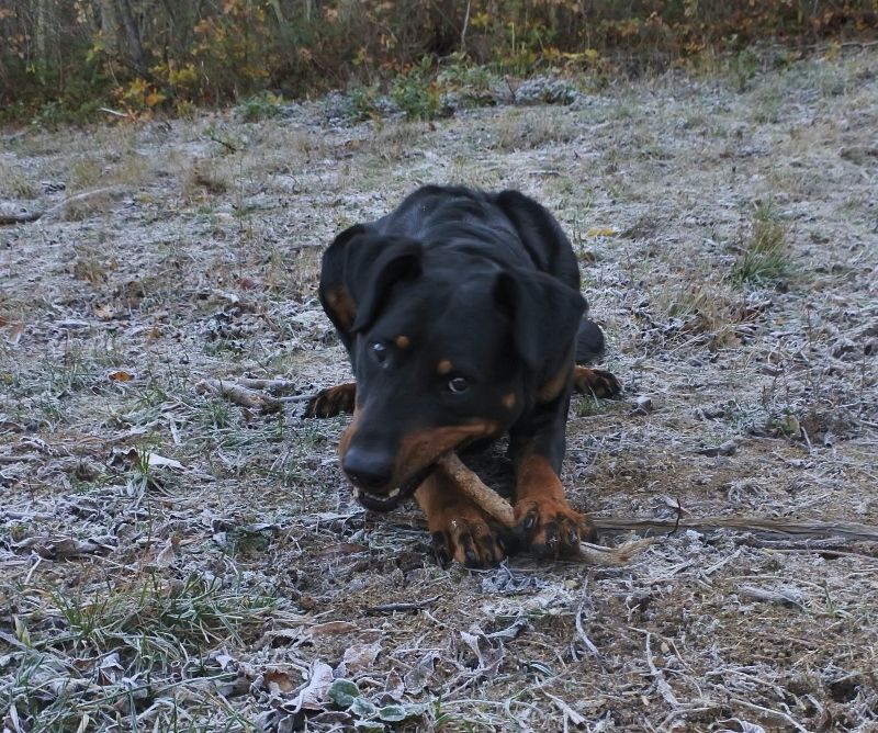 I'juanita (nita) de vag-ner's mémory