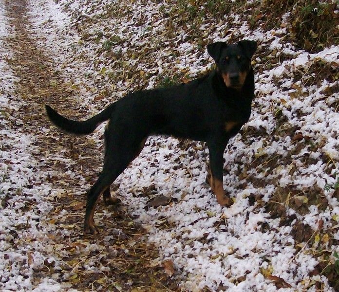 I'juanita (nita) de vag-ner's mémory