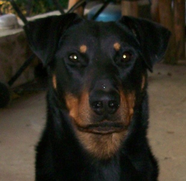 I'juanita (nita) de vag-ner's mémory