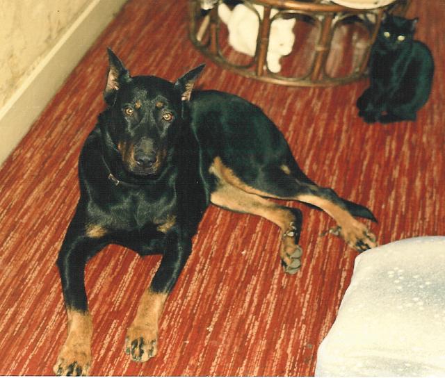 Publication : de vag-ner's mémory