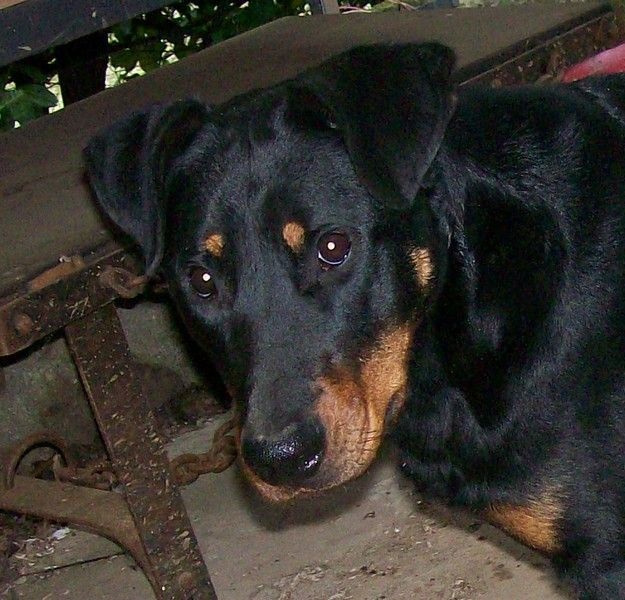 I'juanita (nita) de vag-ner's mémory