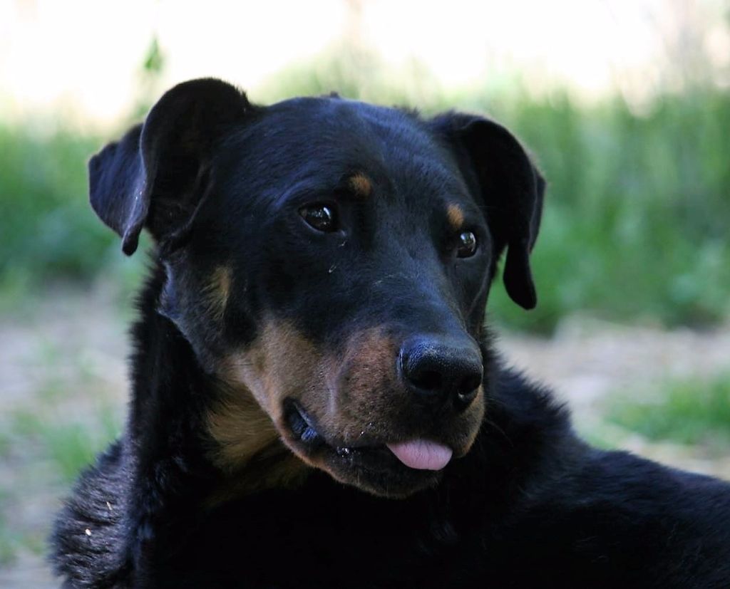 I'juanita (nita) de vag-ner's mémory