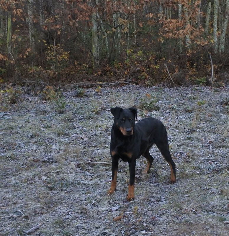 I'juanita (nita) de vag-ner's mémory