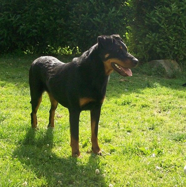 I'juanita (nita) de vag-ner's mémory