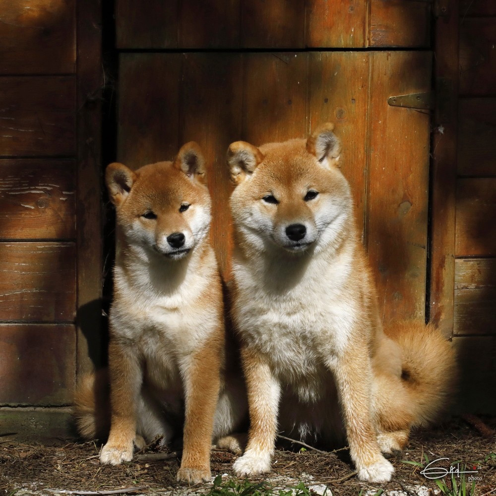 AKEMI of three love angel