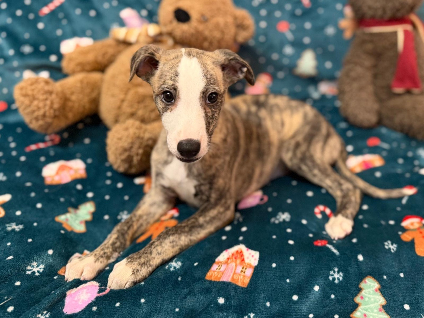 A Spark of Eternity dit Spark