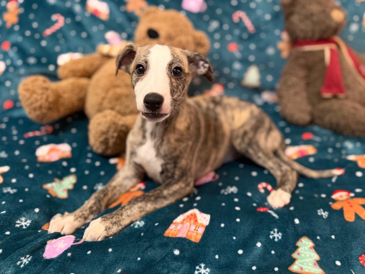 A Spark of Eternity dit Spark