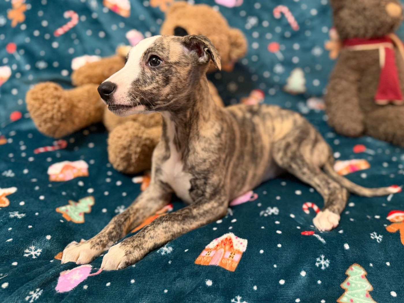 A Spark of Eternity dit Spark