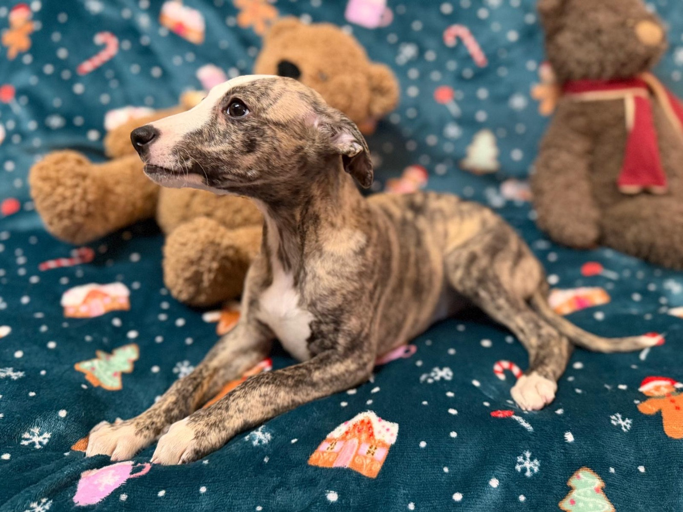 A Spark of Eternity dit Spark