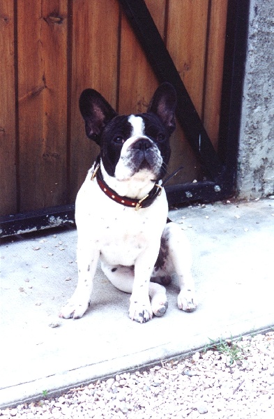 Publication : De la chamade