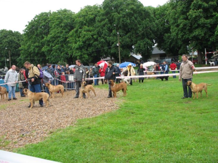 Topless atlantic dream's - Excellent