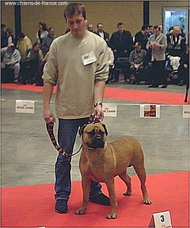 Topless atlantic dream's - 3ème Excellent classe jeune