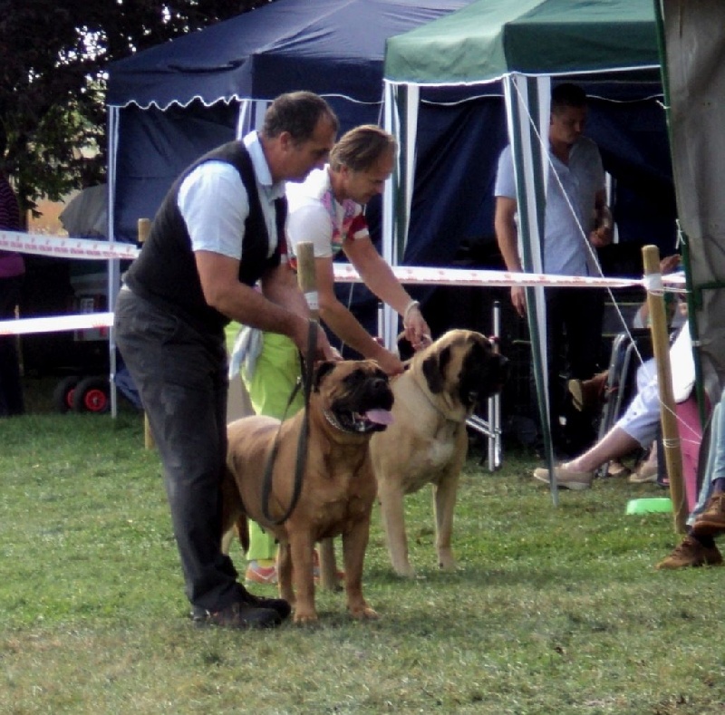 Floride des Jardins D'Atlantis - Excellente
