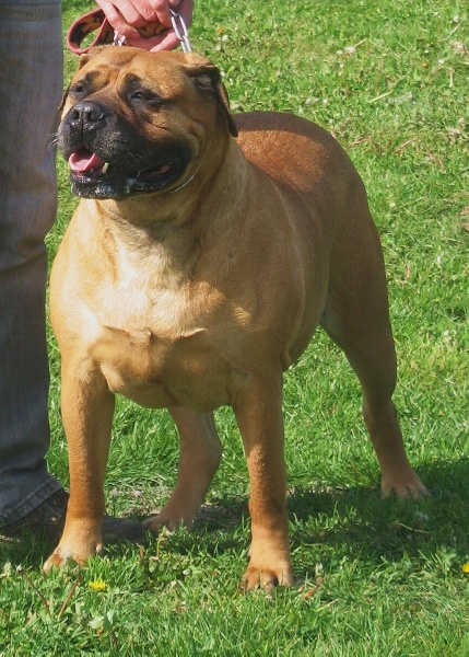 Topless atlantic dream's - 1ère Excellent