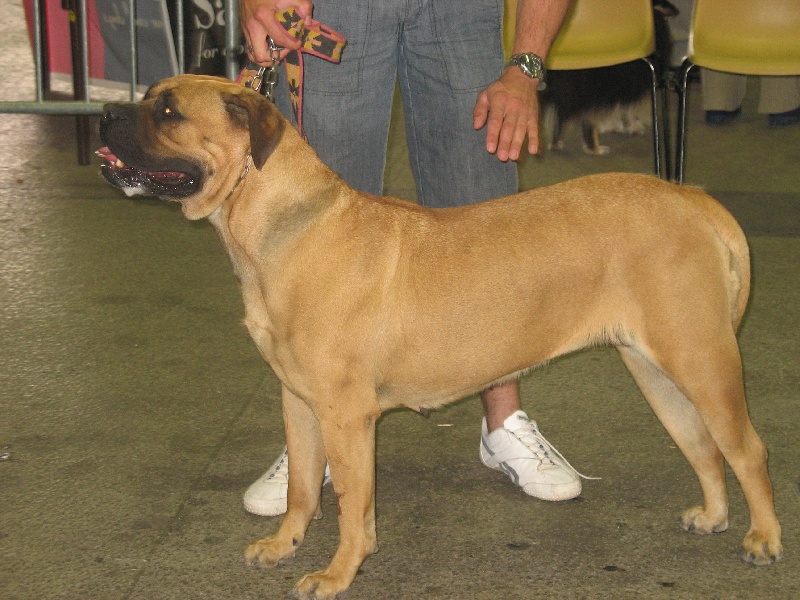 Topless atlantic dream's - Très Bon