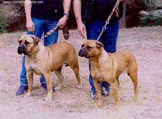 Topless atlantic dream's - 1er très bon classe jeune