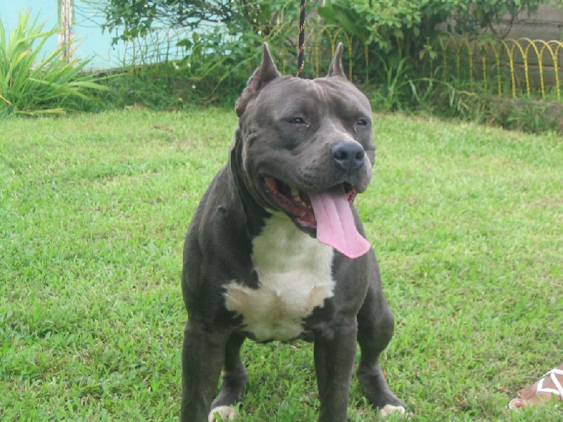 Publication : Pacific blue sky