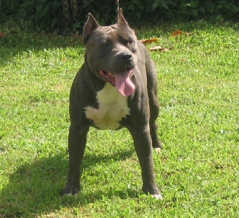 Publication : Pacific blue sky