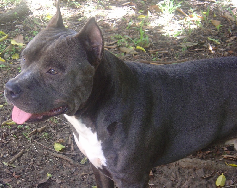 Publication : Pacific blue sky