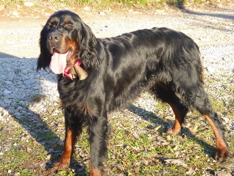 Publication : Du clos de la capitainerie Auteur : LE CLOS DE LA CAPITAINERIE