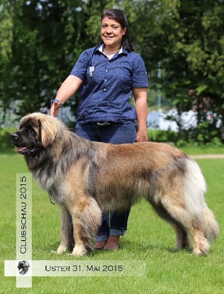 Publication : de la Croix d'Atal Auteur : KaWa