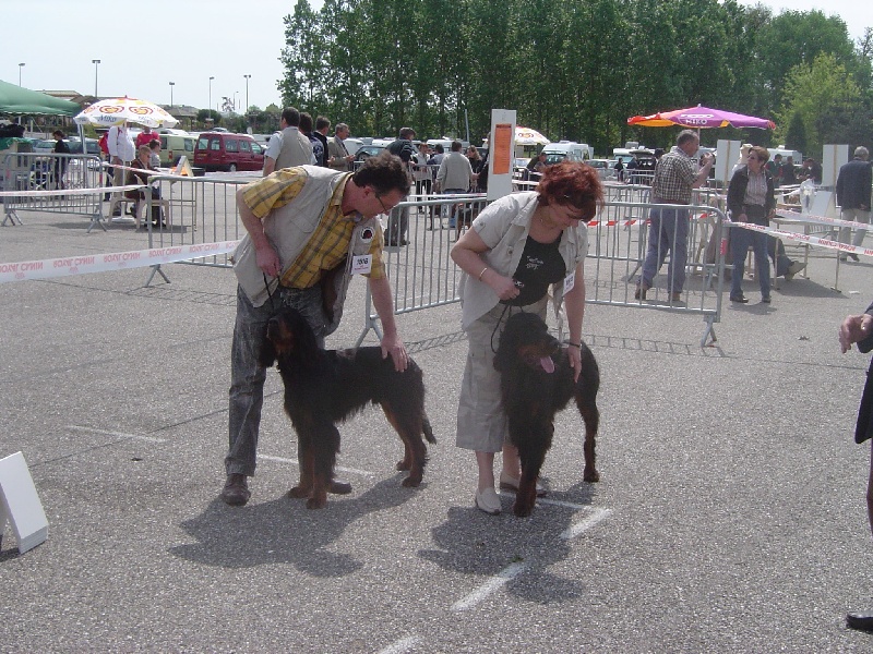 Cheops du bois de picon - 1° Exellent