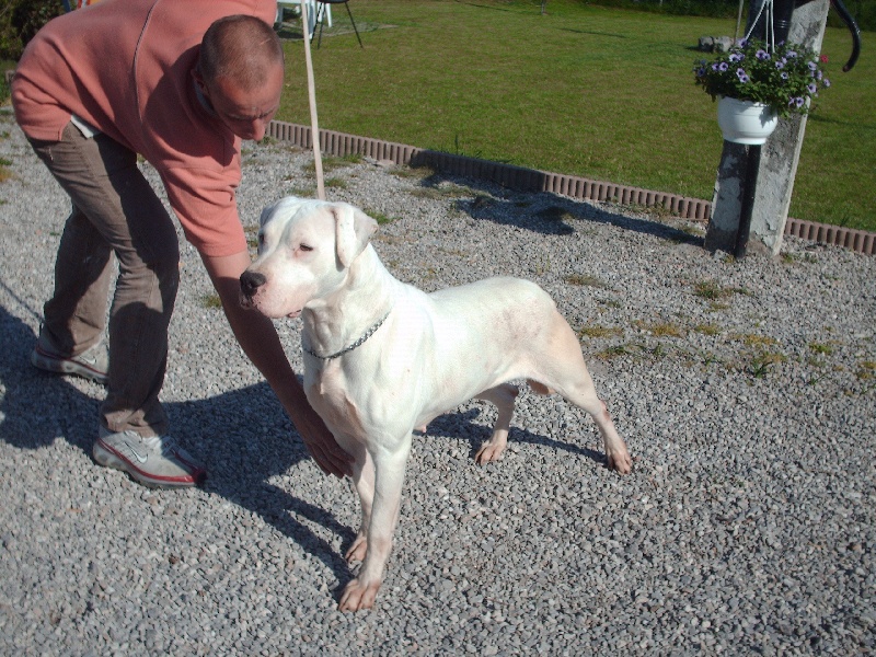 CH. Valentina Cazador del Pampa