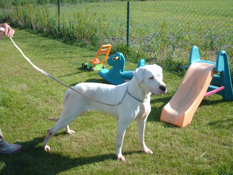 CH. Valentina Cazador del Pampa